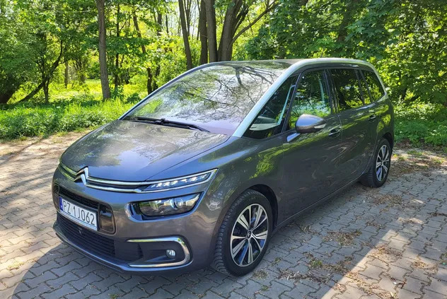 citroen c4 picasso kujawsko-pomorskie Citroen C4 Picasso cena 67900 przebieg: 187000, rok produkcji 2017 z Poznań